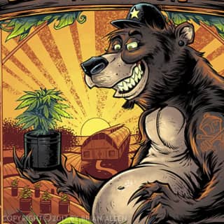 hipster bear with hat and tattoo