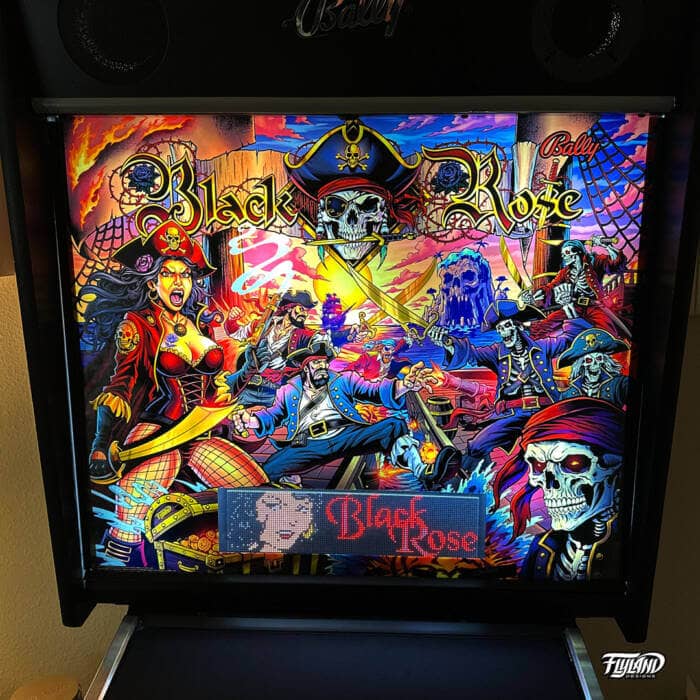 Black Rose Translite illustrated by Brian Allen This is an illustration of pirates fighting skeleton pirates.