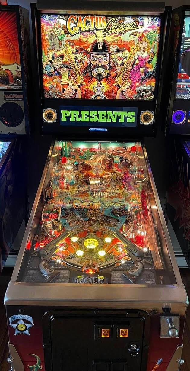 サンヨー Cacti Cactus Canyon Alternate Translite - Flyland Designs, Freelance