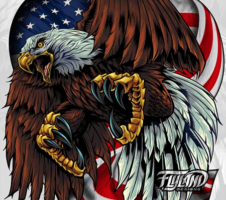 Eagle with talons in front of an American flag