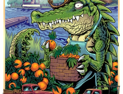 florida cannabis festival event poster of an alligator picking oranges in a weed field with some red trucks parked out front.