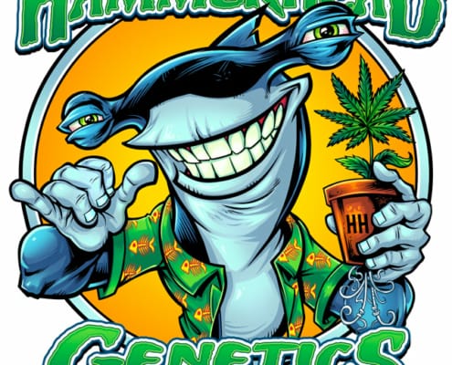 Seed cultivator Hammerhead Genetics hired me recently to design a new logo and mascot for their marijuana seed growing business. We experimented with a few different looks and poses for the shark, and landed on this happier fella you see here.