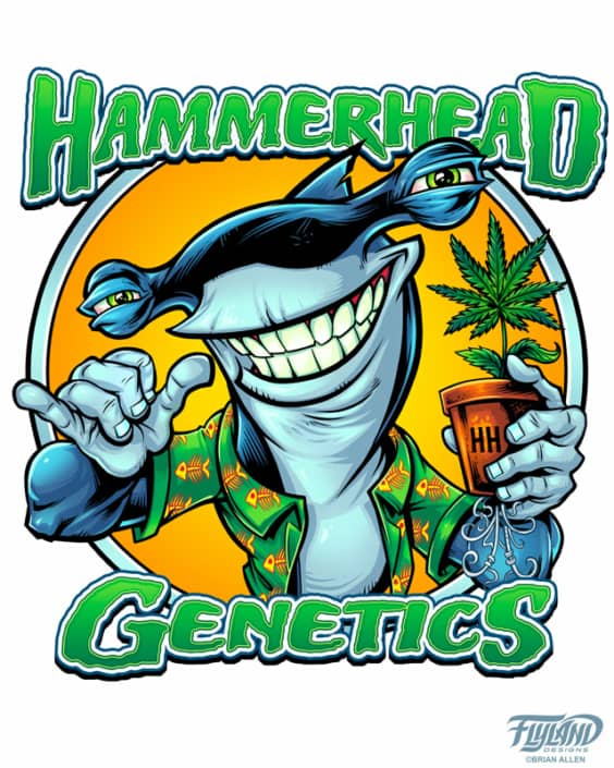 Seed cultivator Hammerhead Genetics hired me recently to design a new logo and mascot for their marijuana seed growing business. We experimented with a few different looks and poses for the shark, and landed on this happier fella you see here.