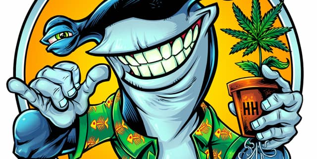 Seed cultivator Hammerhead Genetics hired me recently to design a new logo and mascot for their marijuana seed growing business. We experimented with a few different looks and poses for the shark, and landed on this happier fella you see here.