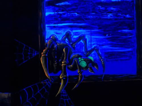 Blacklight spider