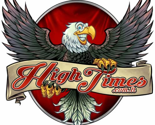 Custom Eagle logo I created for a cannabis brand overseas called High Times.