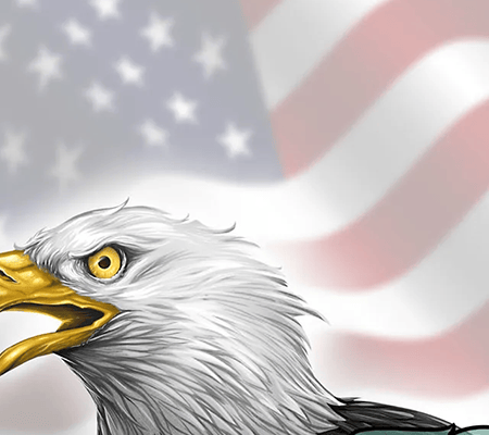 Head of an eagle in front of a American flag