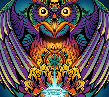 Colorful Psychedelic Owl